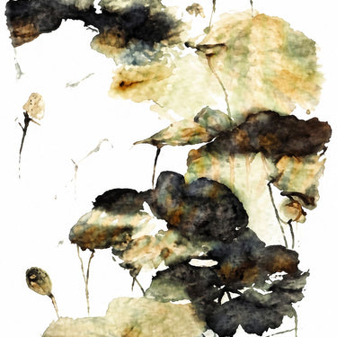 Glamour270 160x230cm