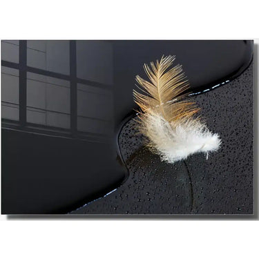 Feather duster  üveg kép sötétszürke